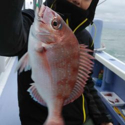 新幸丸 釣果