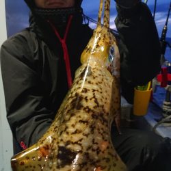 シースナイパー海龍 釣果