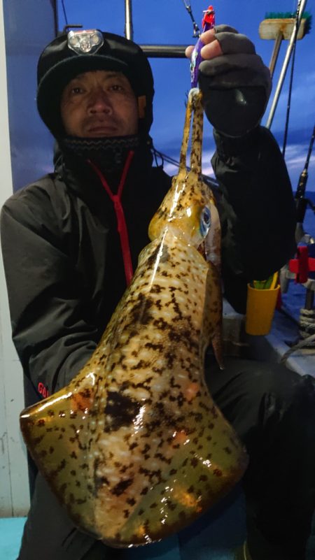 シースナイパー海龍 釣果