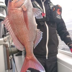 だて丸 釣果