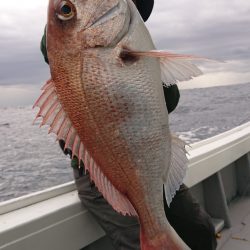 だて丸 釣果