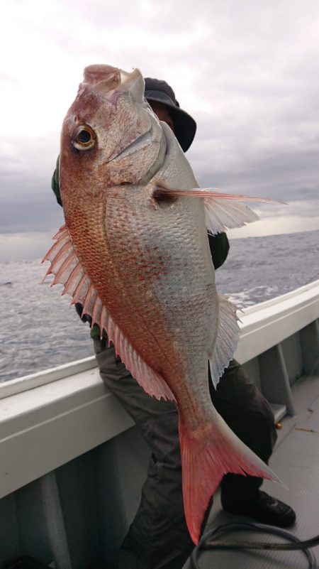 だて丸 釣果