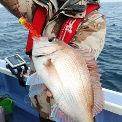 新幸丸 釣果