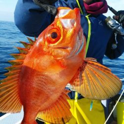 新幸丸 釣果