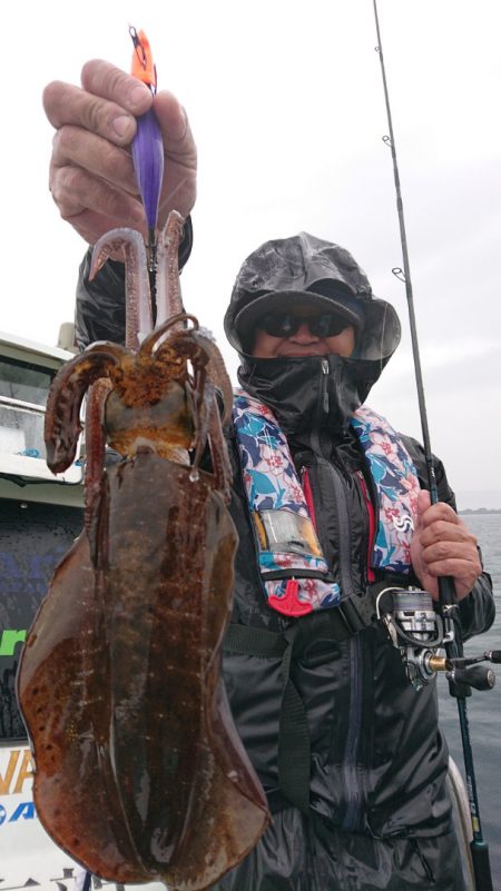 シースナイパー海龍 釣果