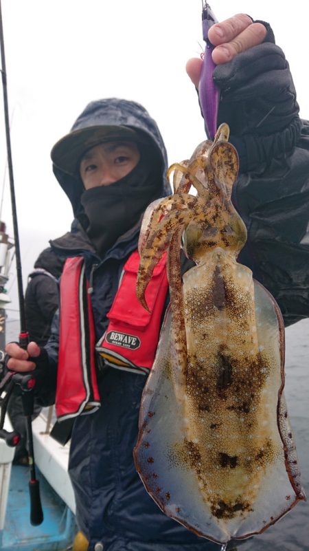 シースナイパー海龍 釣果