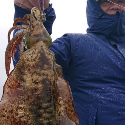 シースナイパー海龍 釣果