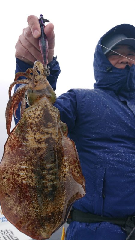 シースナイパー海龍 釣果