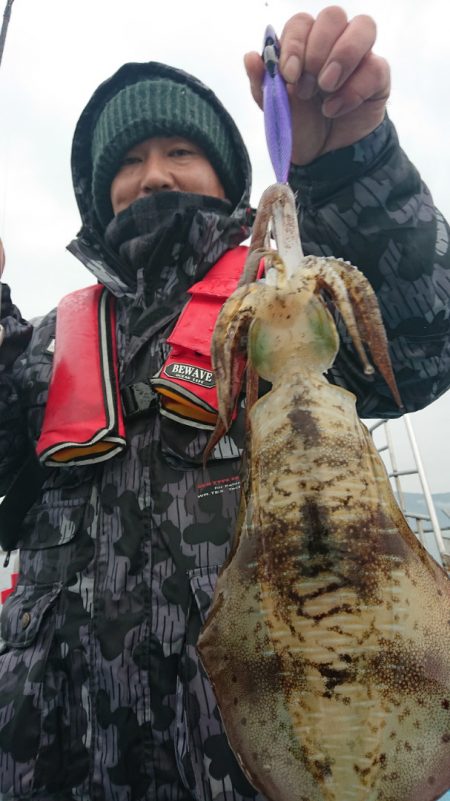 シースナイパー海龍 釣果