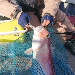 海皇丸 釣果