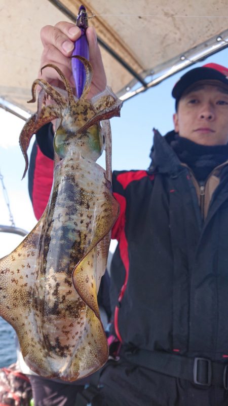 シースナイパー海龍 釣果