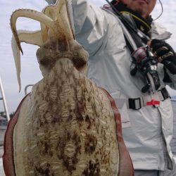 シースナイパー海龍 釣果