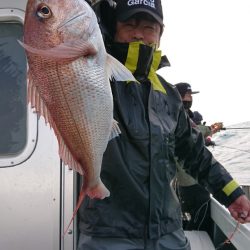 だて丸 釣果