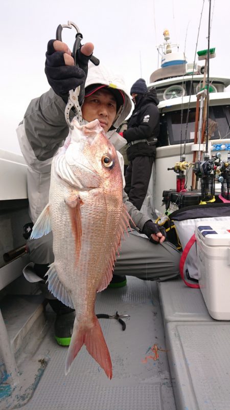 だて丸 釣果