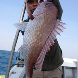 だて丸 釣果