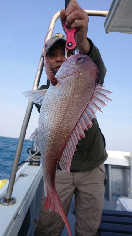 だて丸 釣果