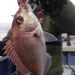 新幸丸 釣果