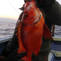 新幸丸 釣果