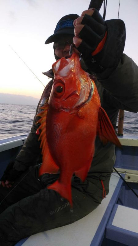 新幸丸 釣果