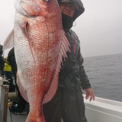 だて丸 釣果