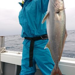 だて丸 釣果