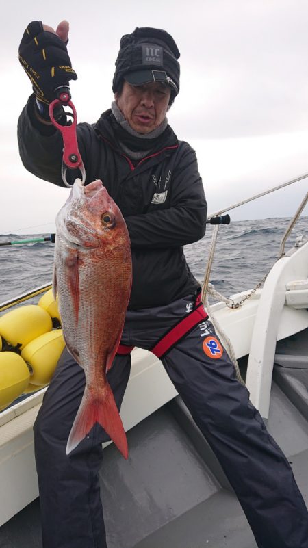 だて丸 釣果