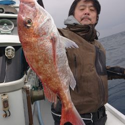 だて丸 釣果