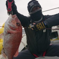 だて丸 釣果