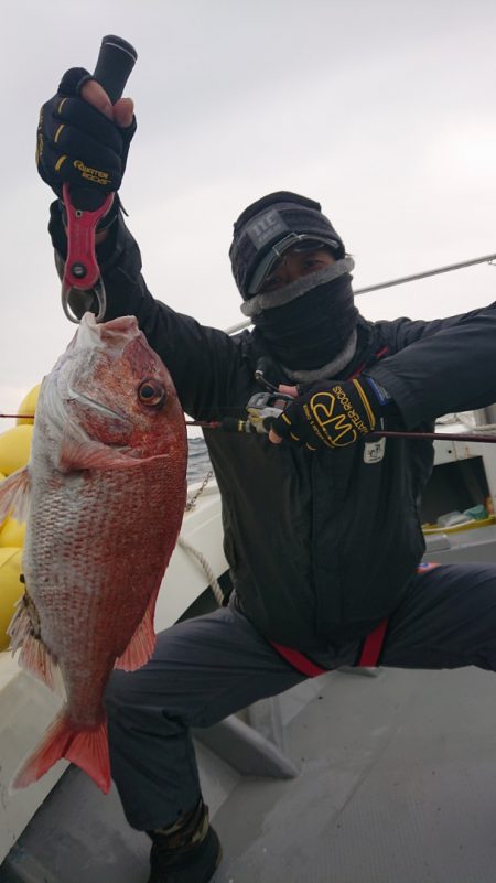 だて丸 釣果