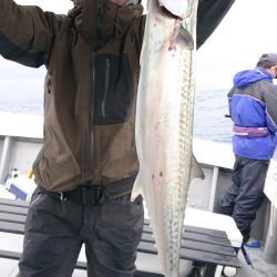 だて丸 釣果