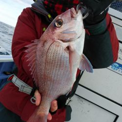 新幸丸 釣果