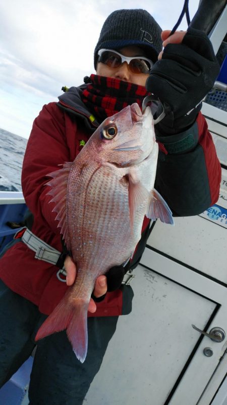 新幸丸 釣果