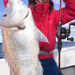 だて丸 釣果