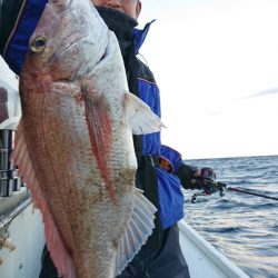 だて丸 釣果