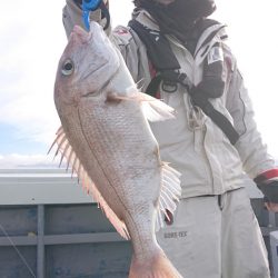 だて丸 釣果