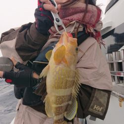 だて丸 釣果