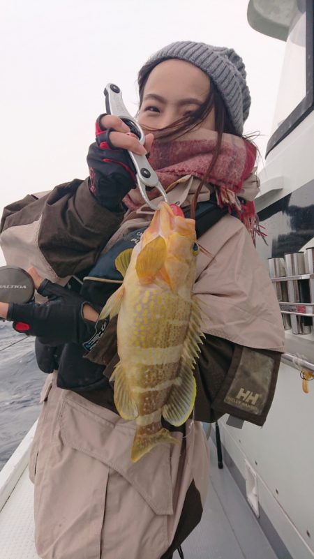 だて丸 釣果