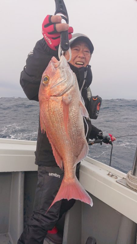 だて丸 釣果