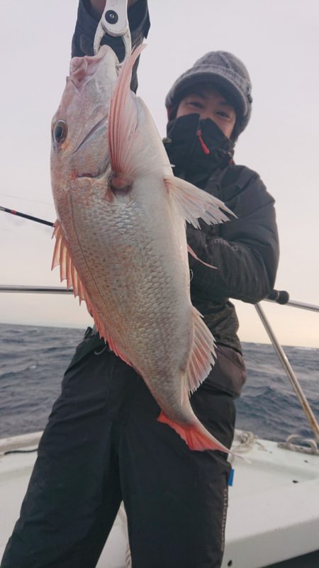 だて丸 釣果