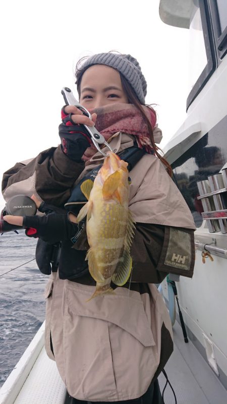 だて丸 釣果