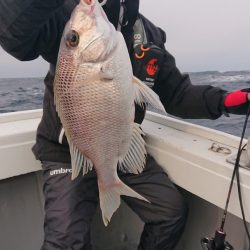 だて丸 釣果