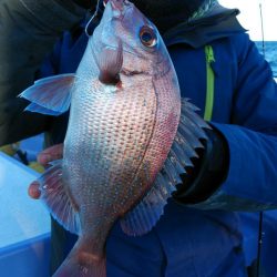 新幸丸 釣果