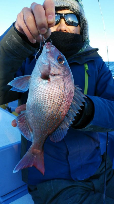 新幸丸 釣果