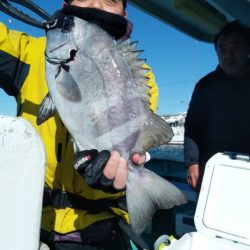 富士丸 釣果