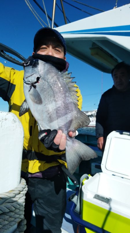 富士丸 釣果