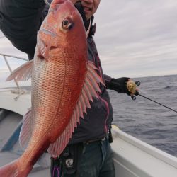 だて丸 釣果