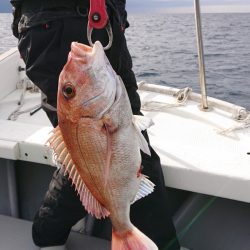 だて丸 釣果