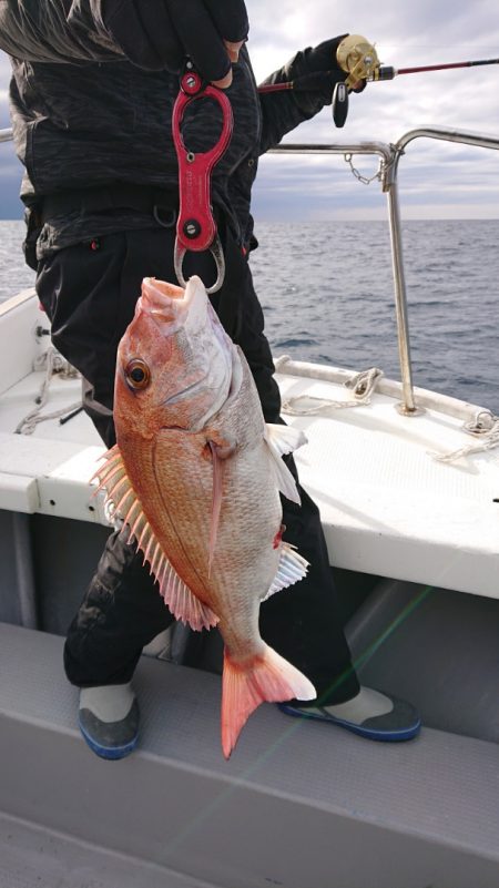 だて丸 釣果