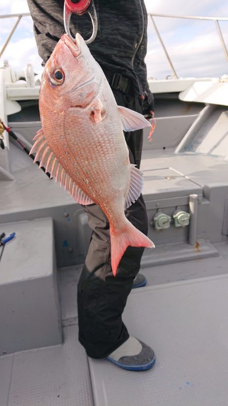 だて丸 釣果