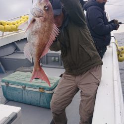 だて丸 釣果